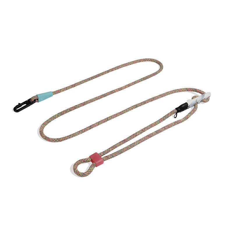 Minimalist Slant Style Pet Fashion Walking Leash