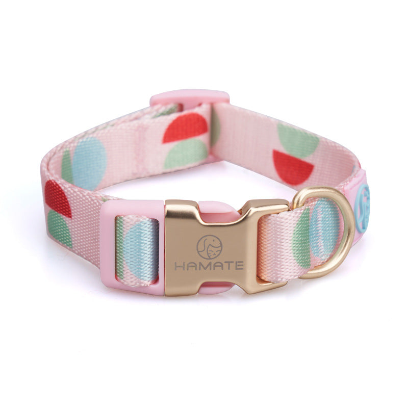 Fashion Y Shaped Pet Chest Harness Leash System