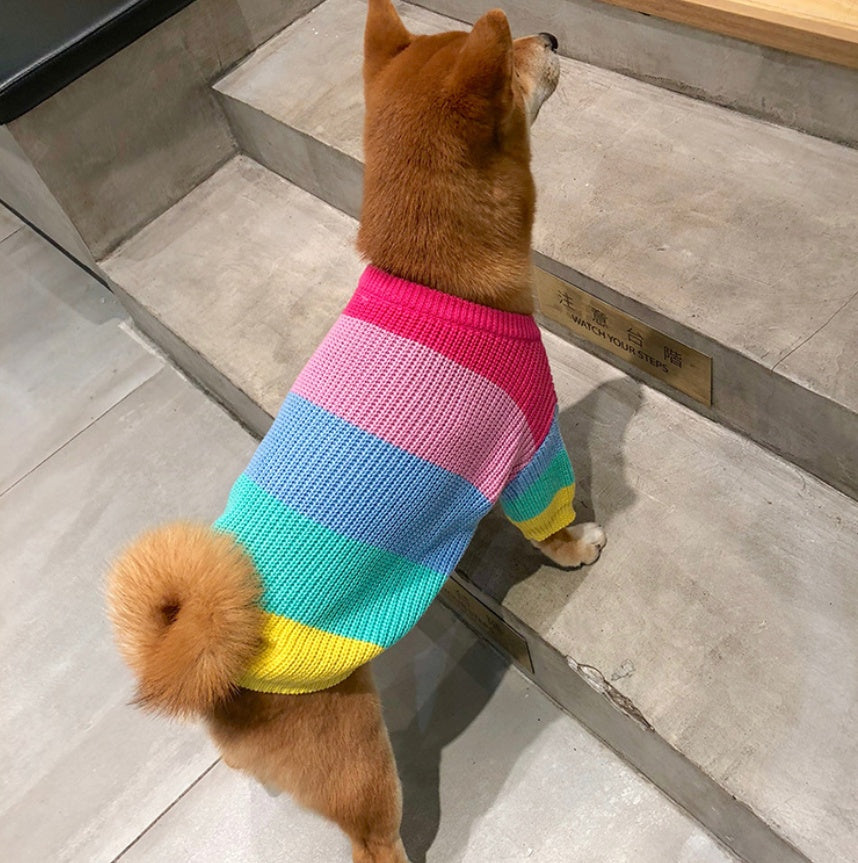 Rainbow Pet Sweater Colorful Small Breed Puppy Wear