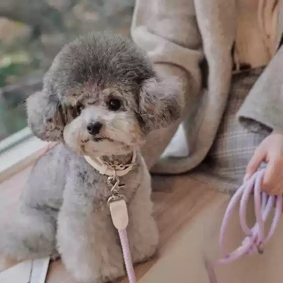 Leather Pet Collar Handheld Leash Durable Walking Lead