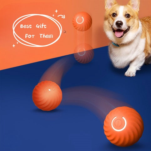 Durable Rubber Bite Resistant Pet Chew Ball Toy