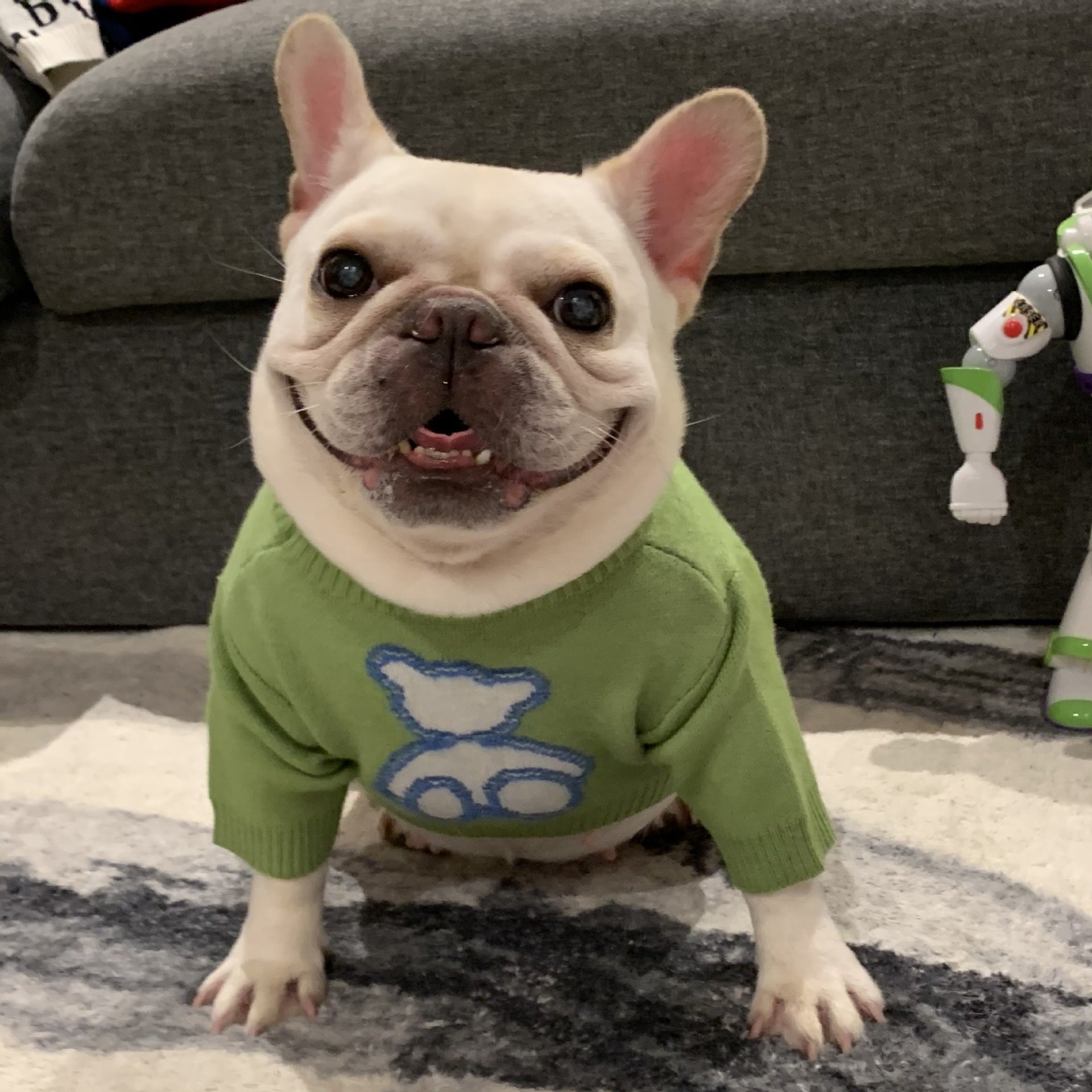 Fall Winter Pet Sweater Warm Cozy Apparel