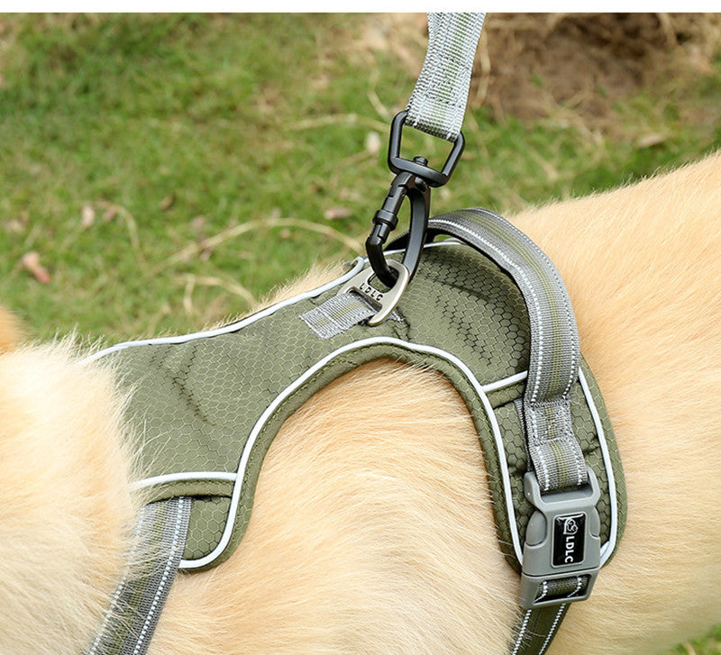 Fluorescent Retractable Pet Leash Explosion Proof Elastic Walking Lead