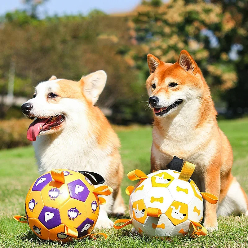 Interactive Football Pet Toy Outdoor Training Chew Ball