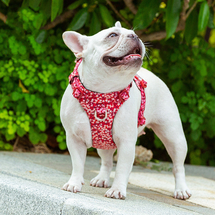 Fashion Personality Pet Chest Strap Pull Resistant Harness