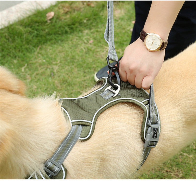 Fluorescent Retractable Pet Leash Explosion Proof Elastic Walking Lead