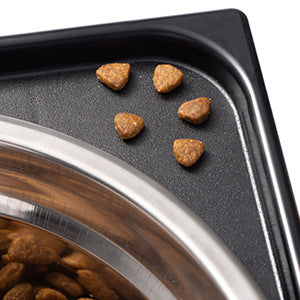 Elevated Pet Feeding Bowl Neck Support Anti-Tip Design