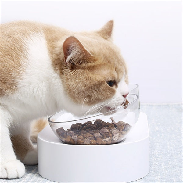Pet Adjustable Elevated Feeding Bowl Stand