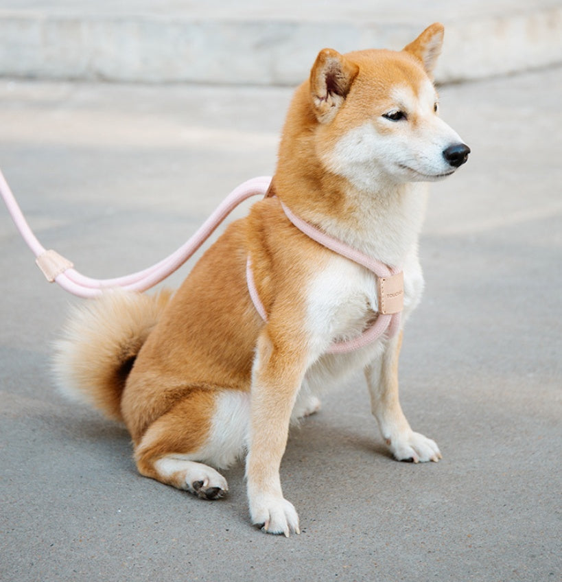 Dual Purpose Integrated Round Rope Pet Leash Set