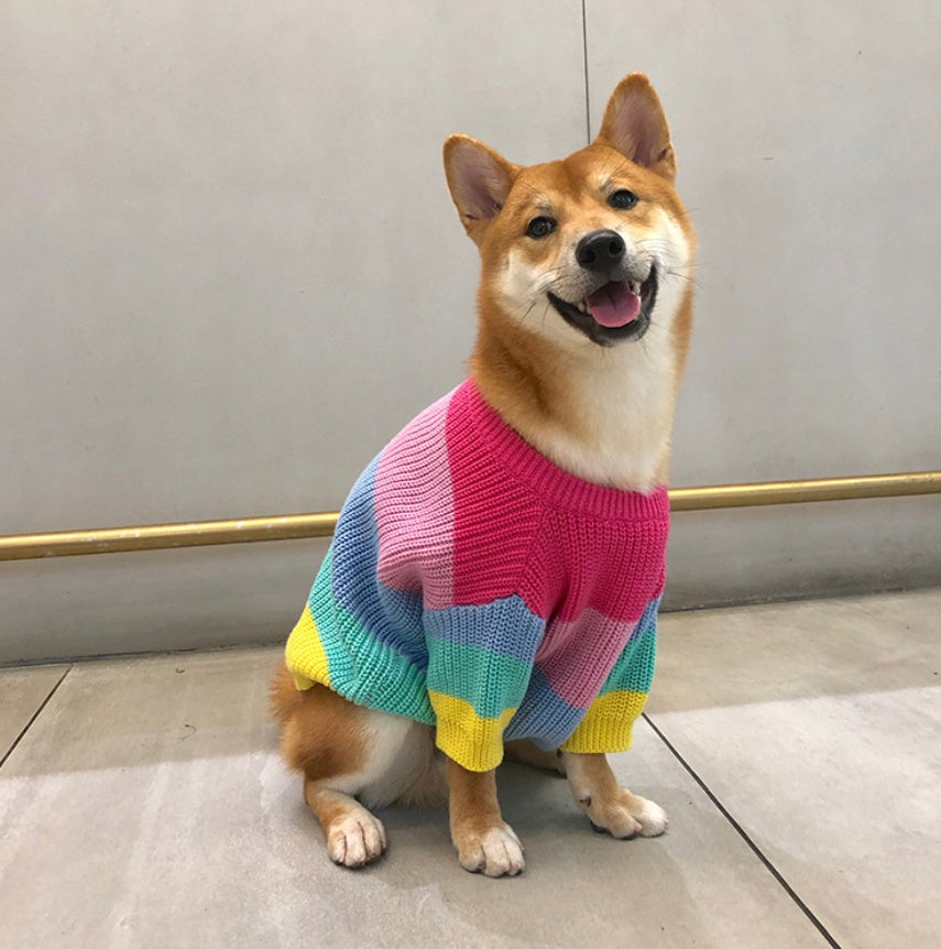 Rainbow Pet Sweater Colorful Small Breed Puppy Wear