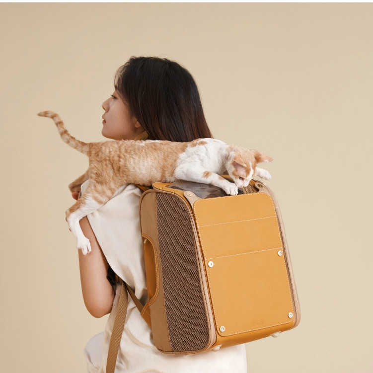 Outdoor Portable Breathable Pet Backpack Large Capacity Carrier