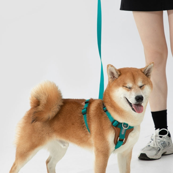 Explosion Proof Pet Rope Leash Chest Strap Multifunctional Harness