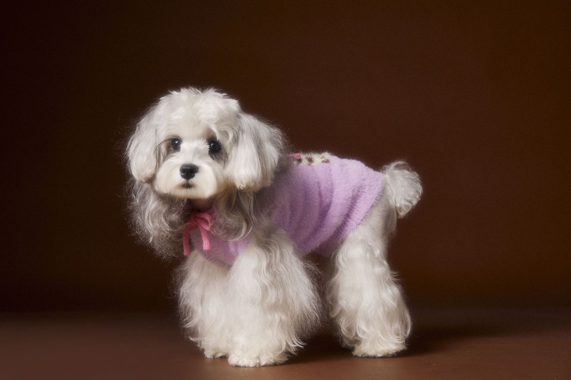 Spotted Pet Hooded Sleeveless Sweater Vest Cozy Wear