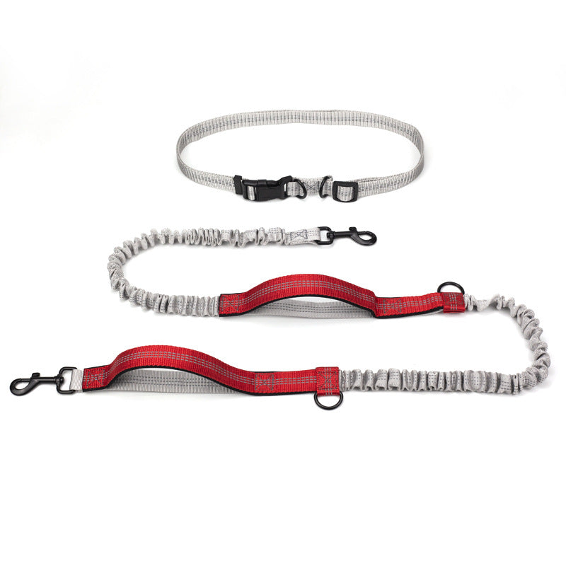 Outdoor Running Pet Leash For Training And Walking