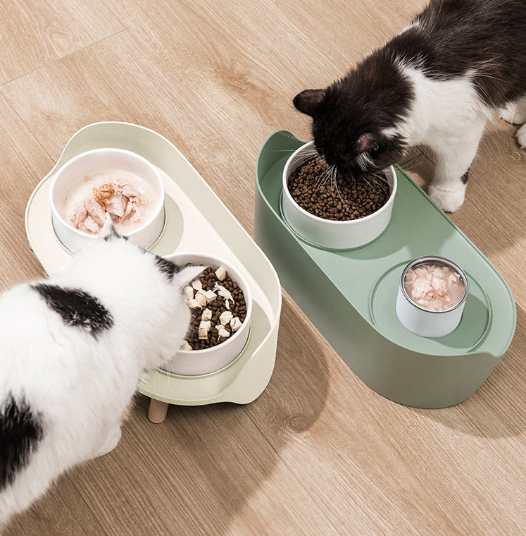 Adjustable Tilted Pet Double Feeding Bowl Spill Proof Design