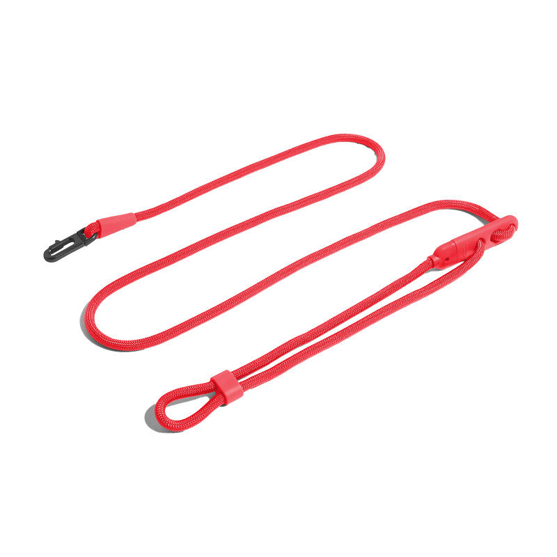 Minimalist Slant Style Pet Fashion Walking Leash