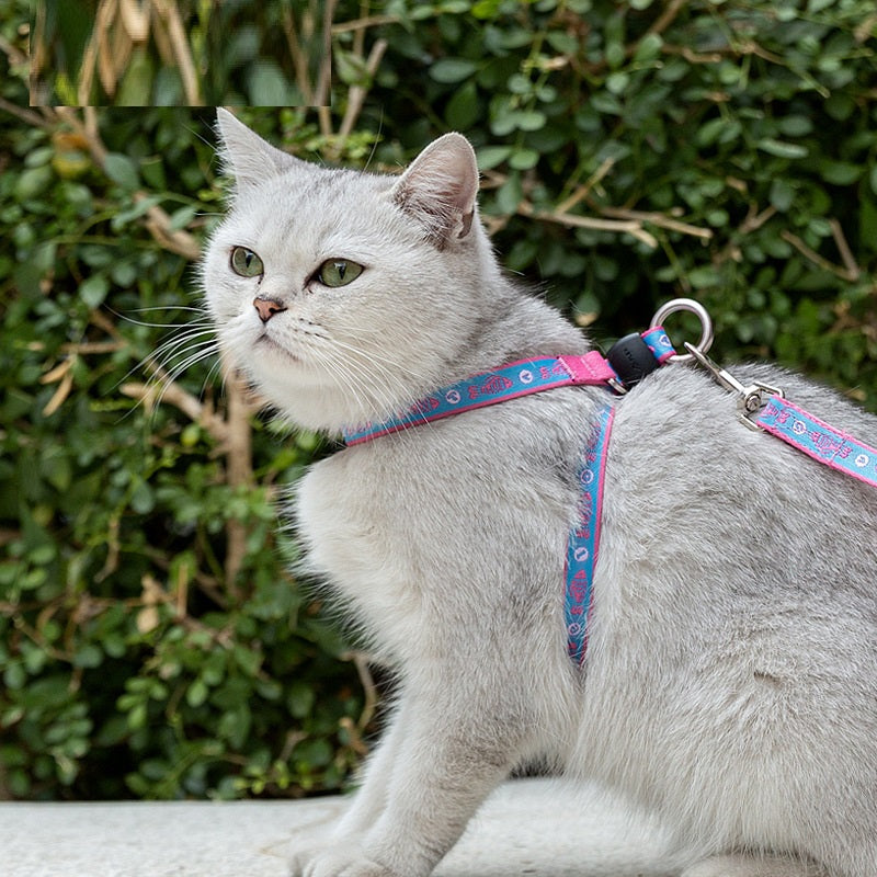 Bell Chest Strap Pet Harness Vest Leash For Small Pet