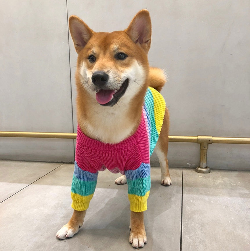 Rainbow Pet Sweater Colorful Small Breed Puppy Wear