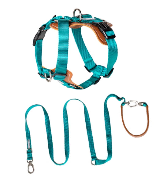 Explosion Proof Pet Rope Leash Chest Strap Multifunctional Harness