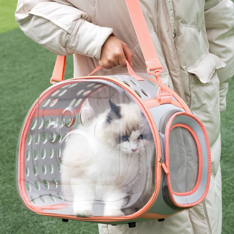 Transparent Space Capsule Pet Backpack Travel Carrier Bag