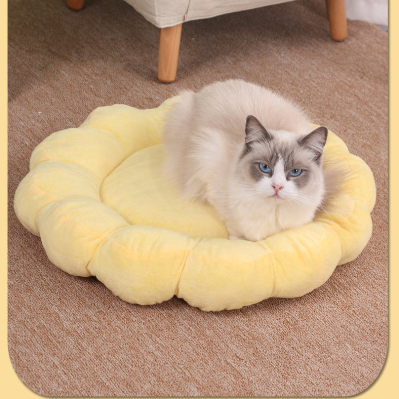 50x50cm Multicolor Petal Plush Half-Surround Soft Pet Bed