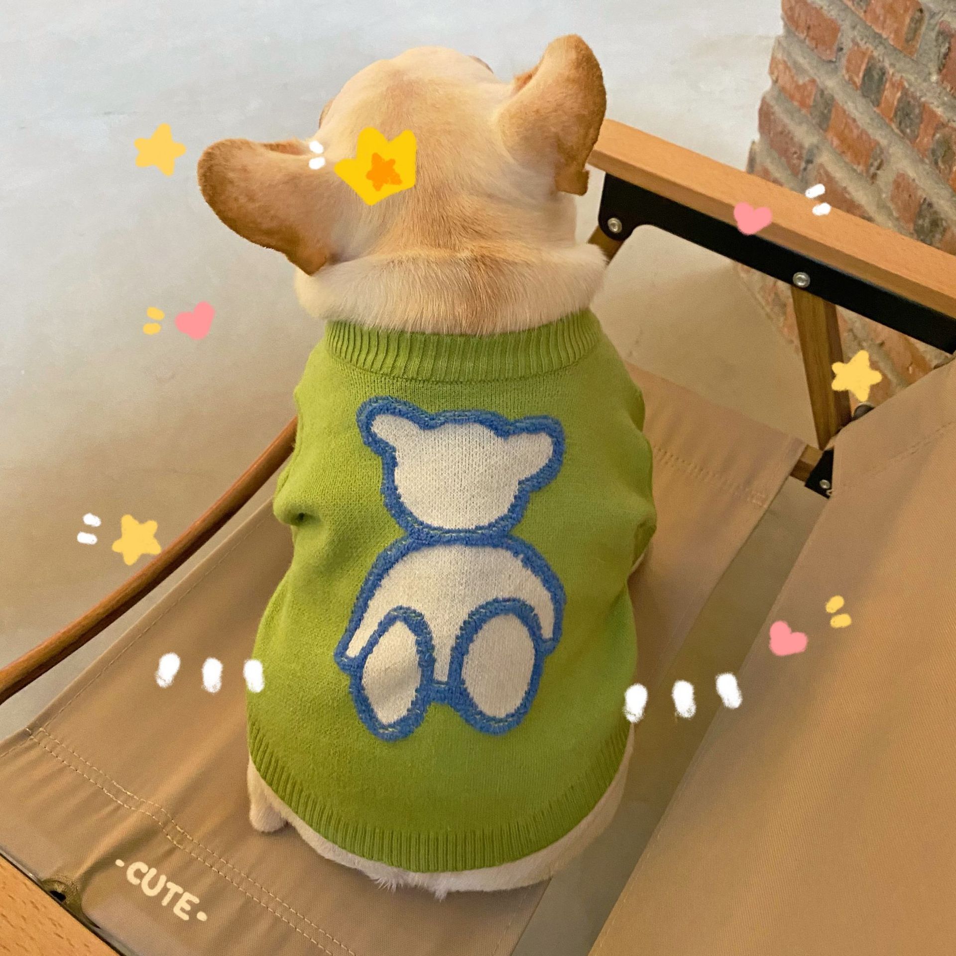 Fall Winter Pet Sweater Warm Cozy Apparel