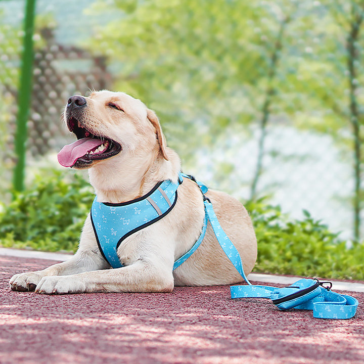 Bow Design Pet Harness Leash For Comfortable Walking
