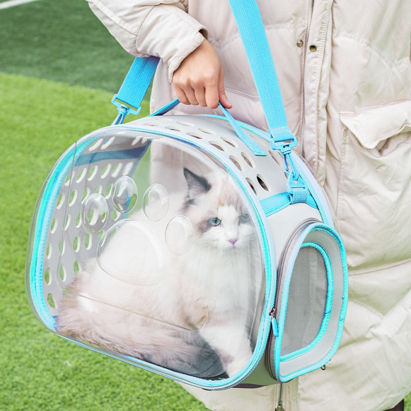 Transparent Space Capsule Pet Backpack Travel Carrier Bag