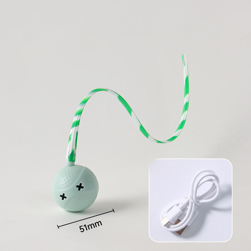 Interactive Motion Activated Pet Ball Toy With Touch Sensor