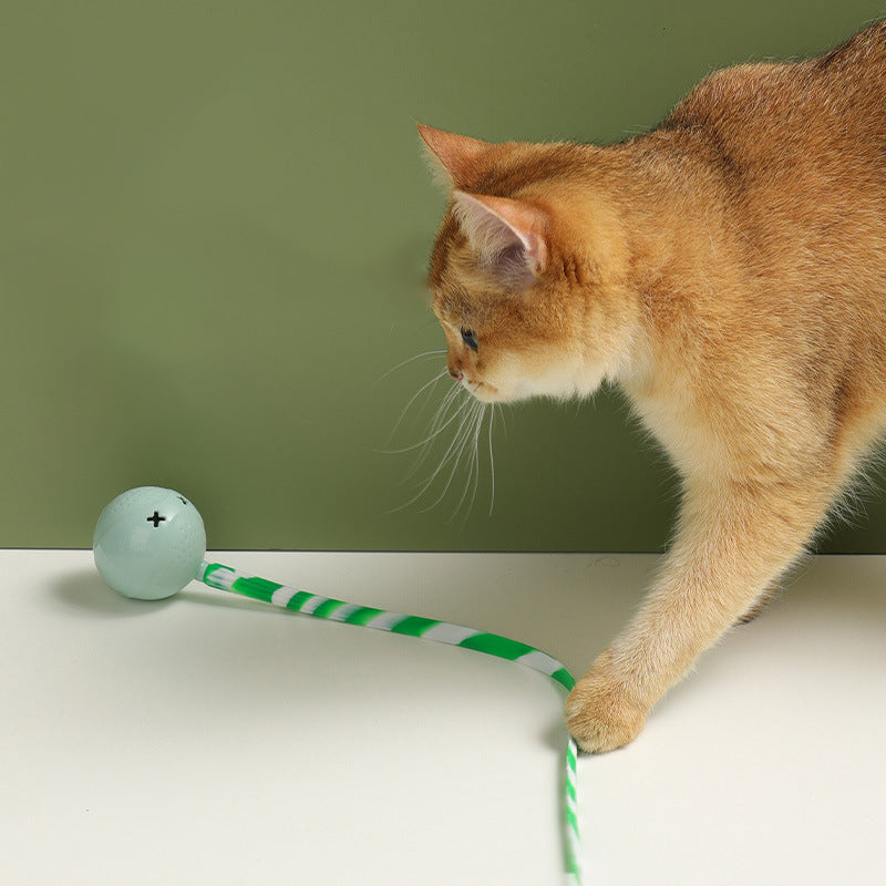 Interactive Motion Activated Pet Ball Toy With Touch Sensor