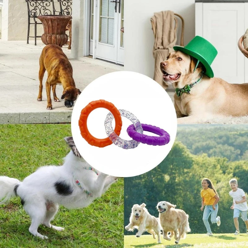 Floating Water Flying Disc Ring Durable Interactive Pet Toy