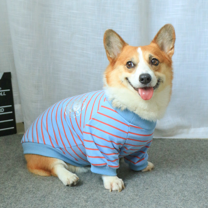 Pet Sweater Parent Child Matching Cozy Wear Outfit