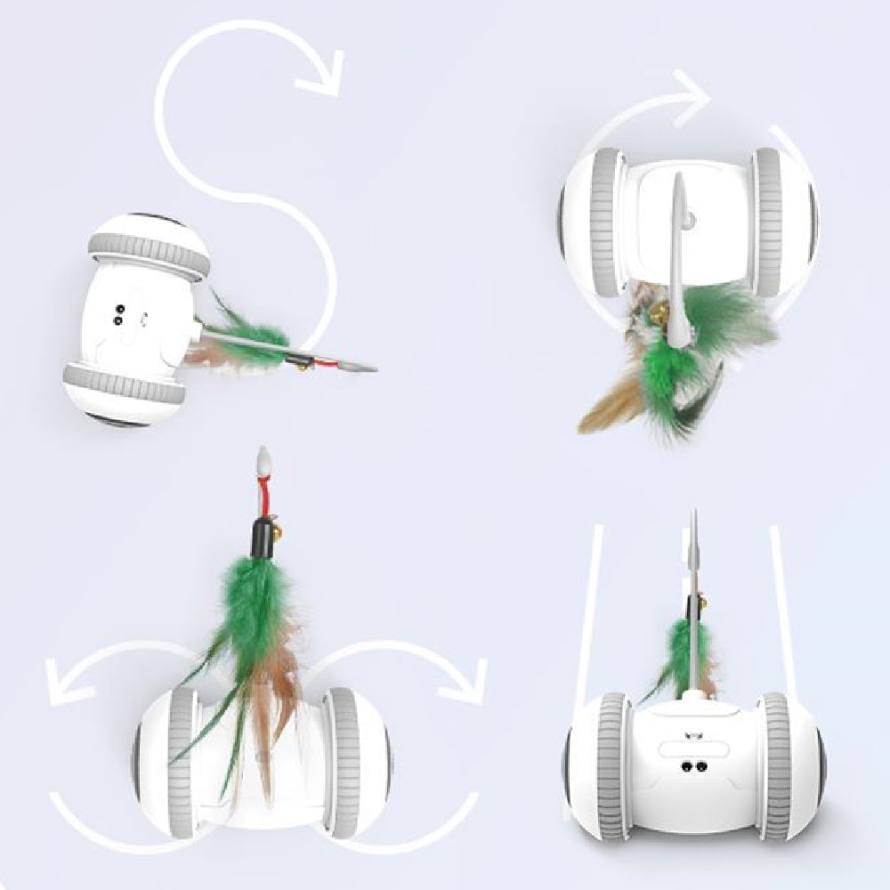 Interactive Feather Head Pet Teaser Toy