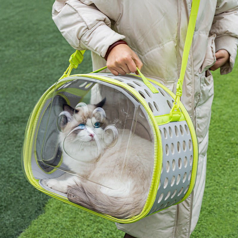 Transparent Space Capsule Pet Backpack Travel Carrier Bag