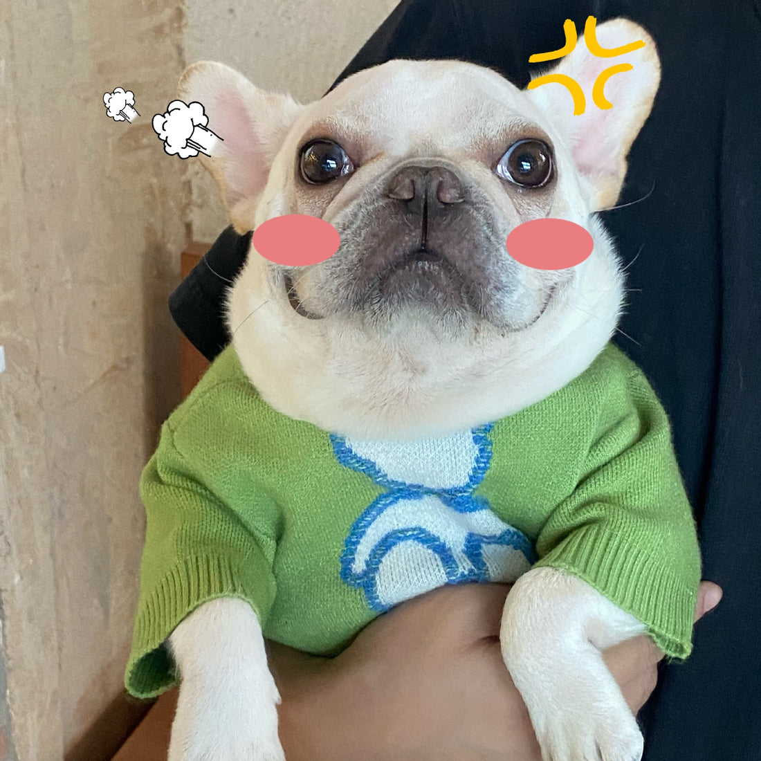 Fall Winter Pet Sweater Warm Cozy Apparel