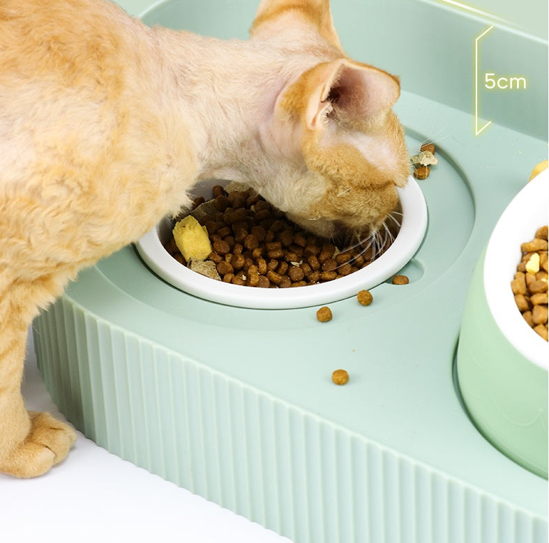 Pet Ceramic Elevated Cervical Spine Support Feeding Bowl