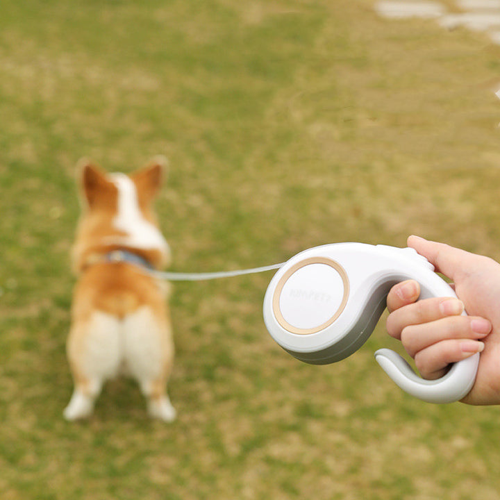 Automatic Retractable Pet Leash For Walking And Control