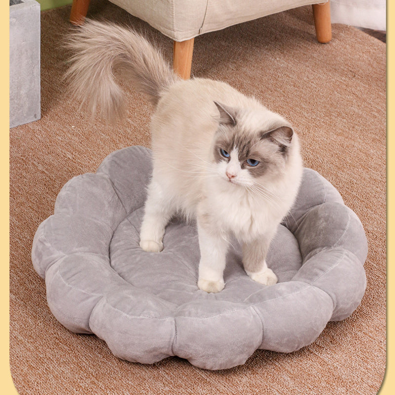 50x50cm Multicolor Petal Plush Half-Surround Soft Pet Bed
