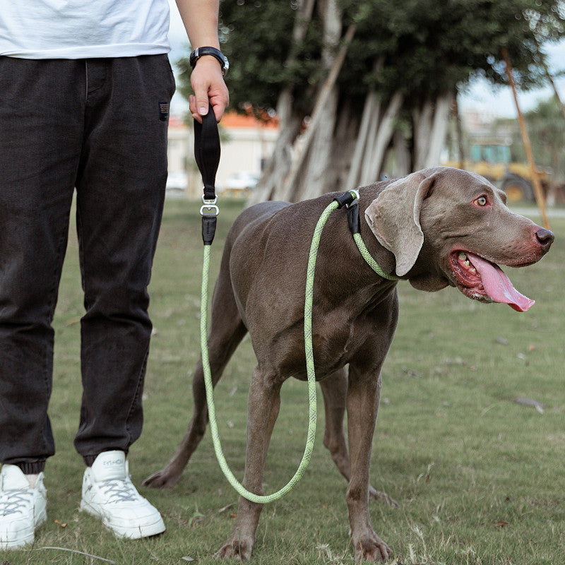 Simple Fashion Pet Leash Explosion Proof Harness Tool