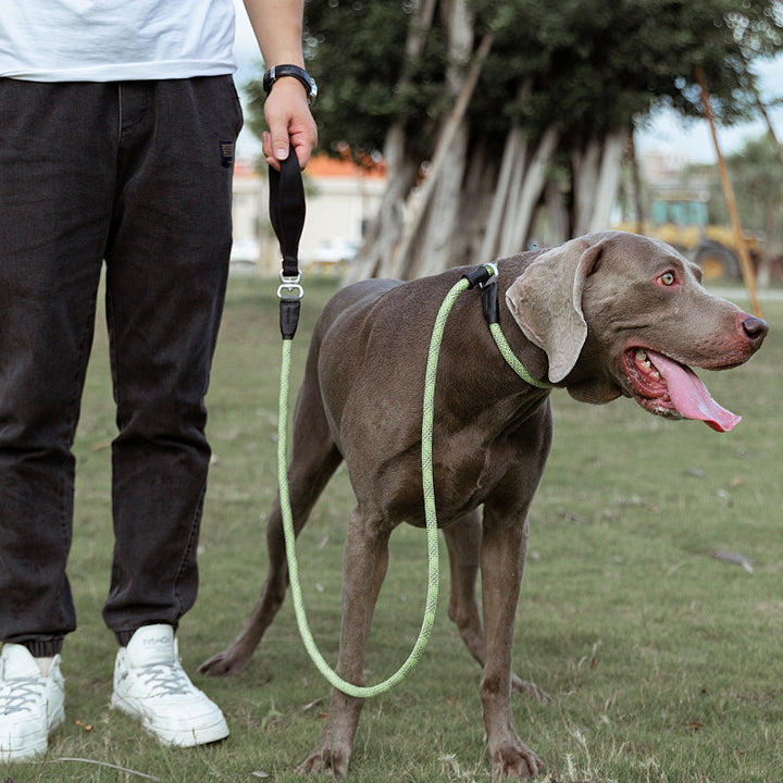 Simple Fashion Pet Leash Explosion Proof Harness Tool