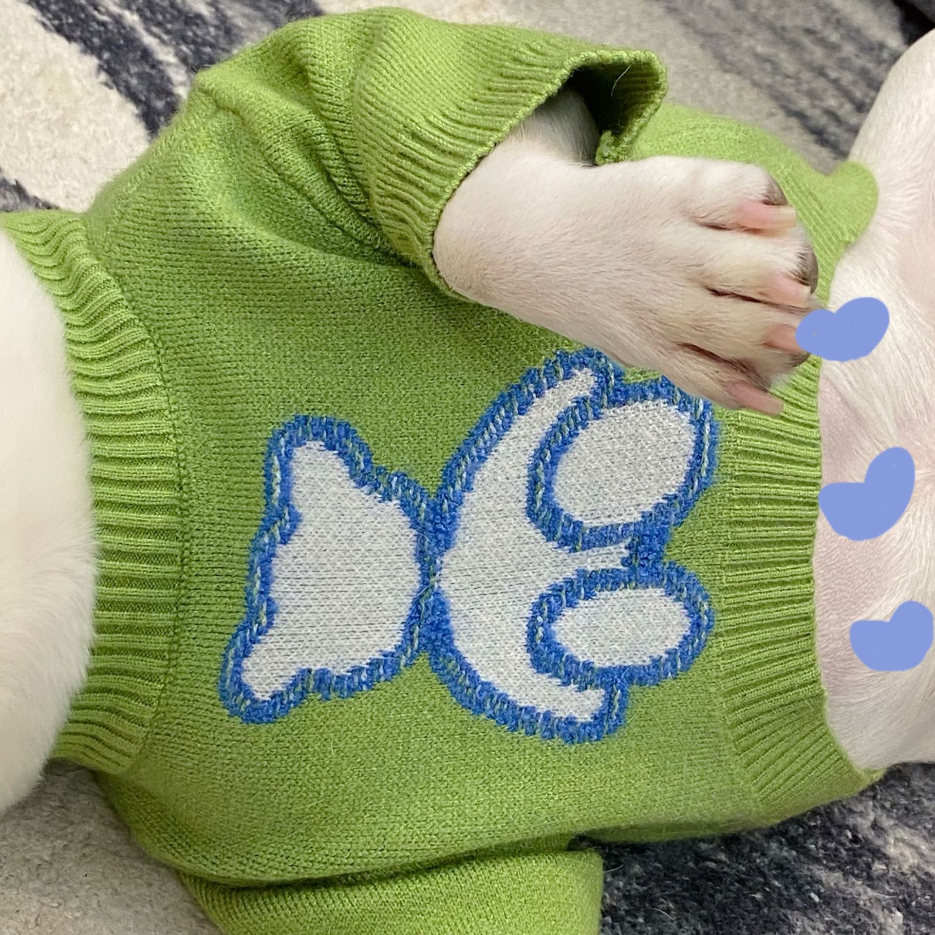 Fall Winter Pet Sweater Warm Cozy Apparel