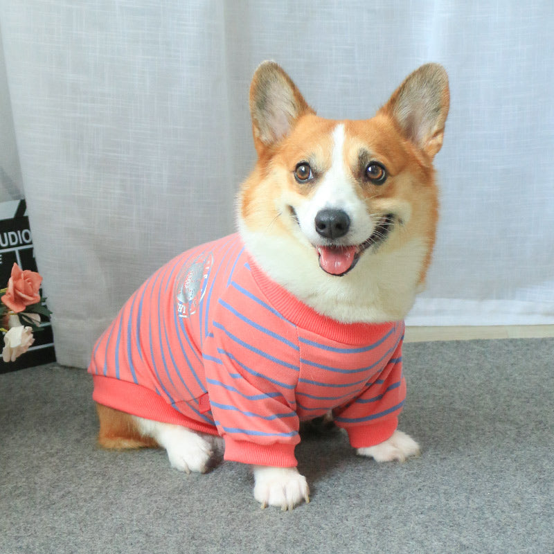 Pet Sweater Parent Child Matching Cozy Wear Outfit