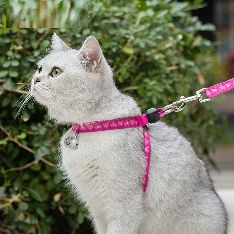 Bell Chest Strap Pet Harness Vest Leash For Small Pet