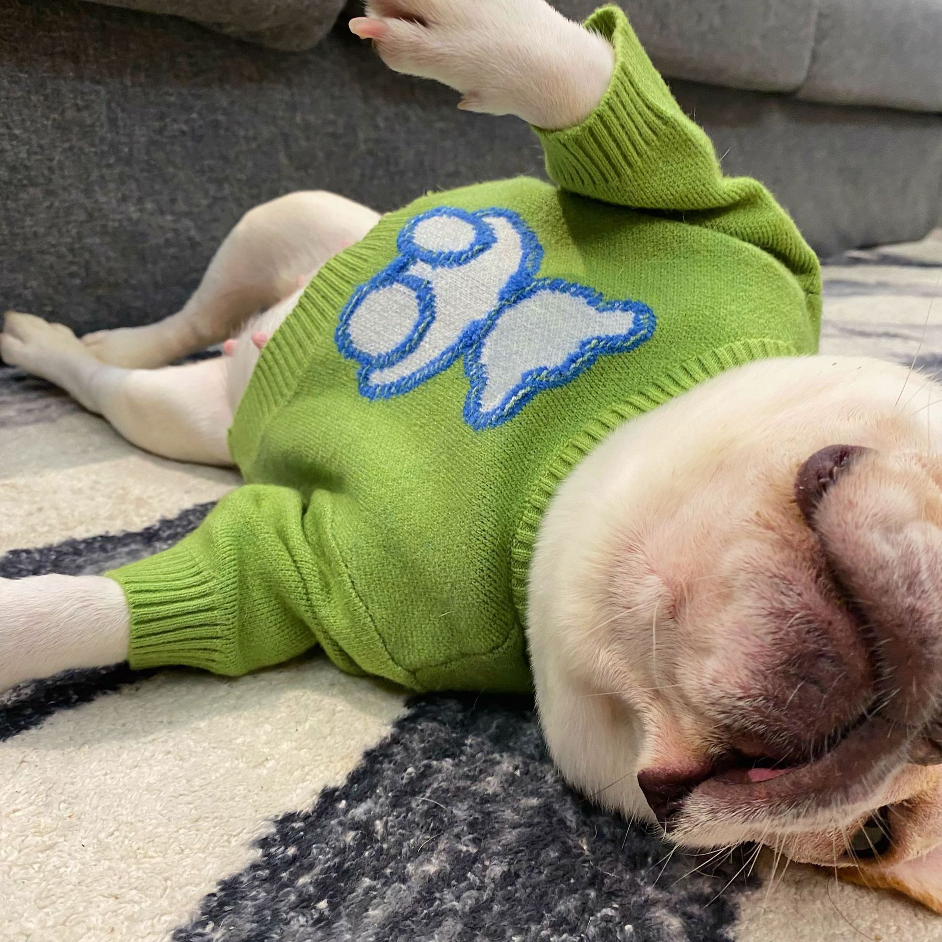 Fall Winter Pet Sweater Warm Cozy Apparel