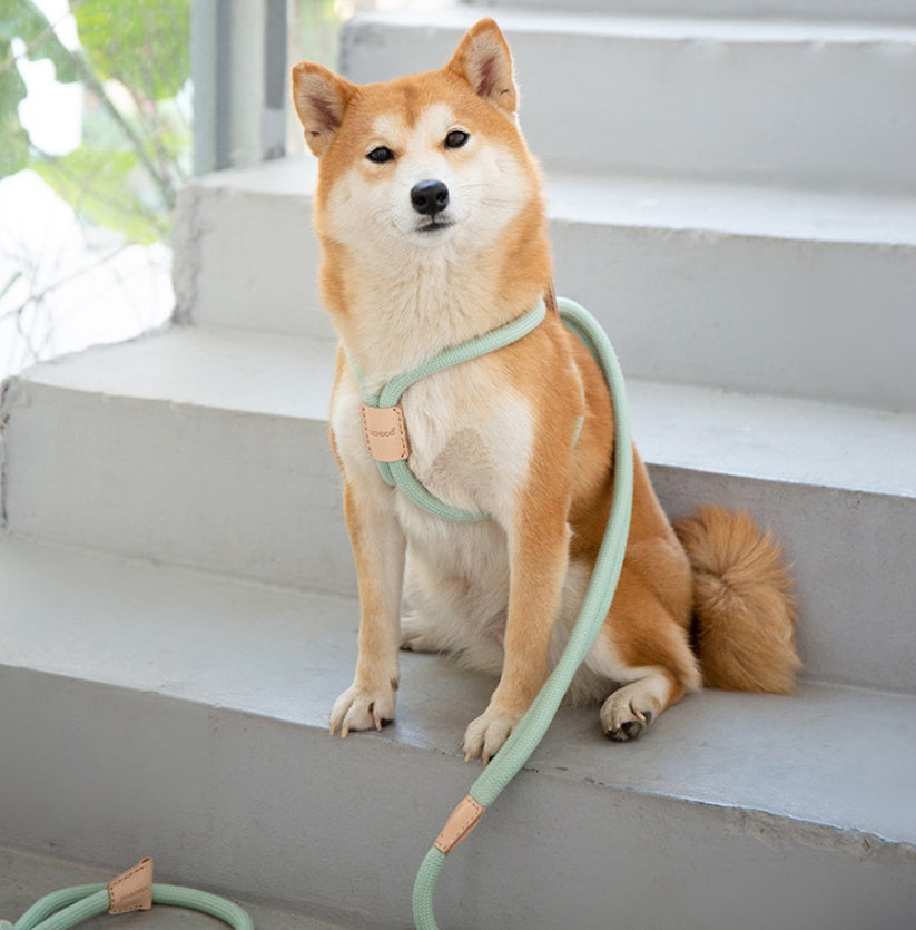 Dual Purpose Integrated Round Rope Pet Leash Set