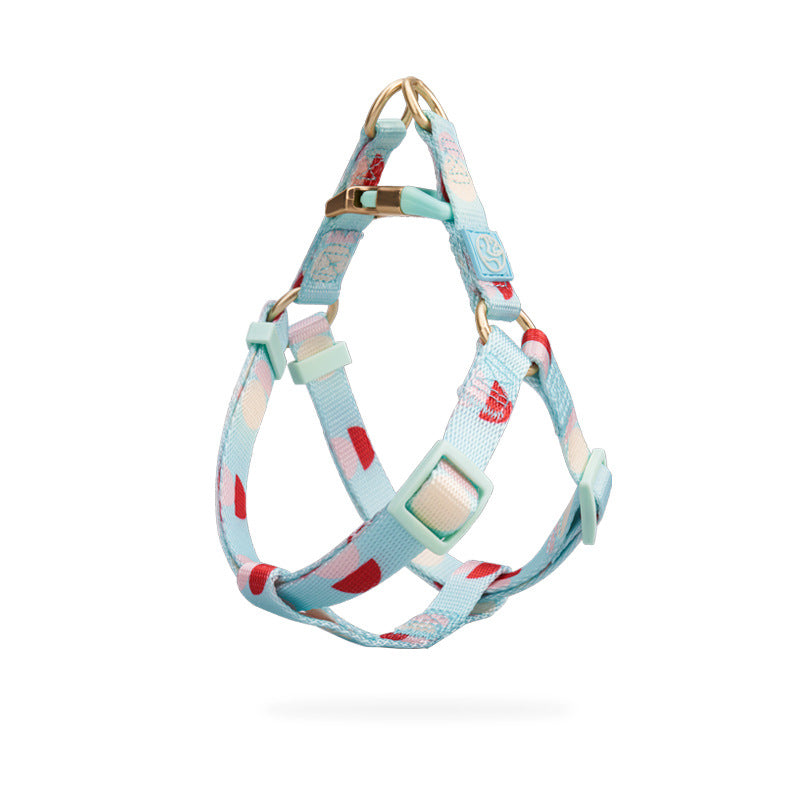 Fashion Y Shaped Pet Chest Harness Leash System