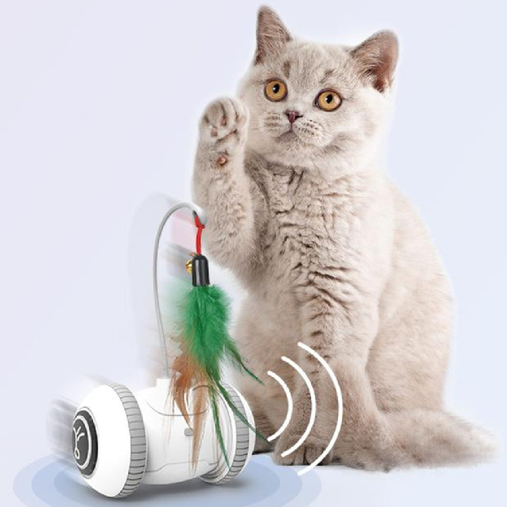 Interactive Feather Head Pet Teaser Toy