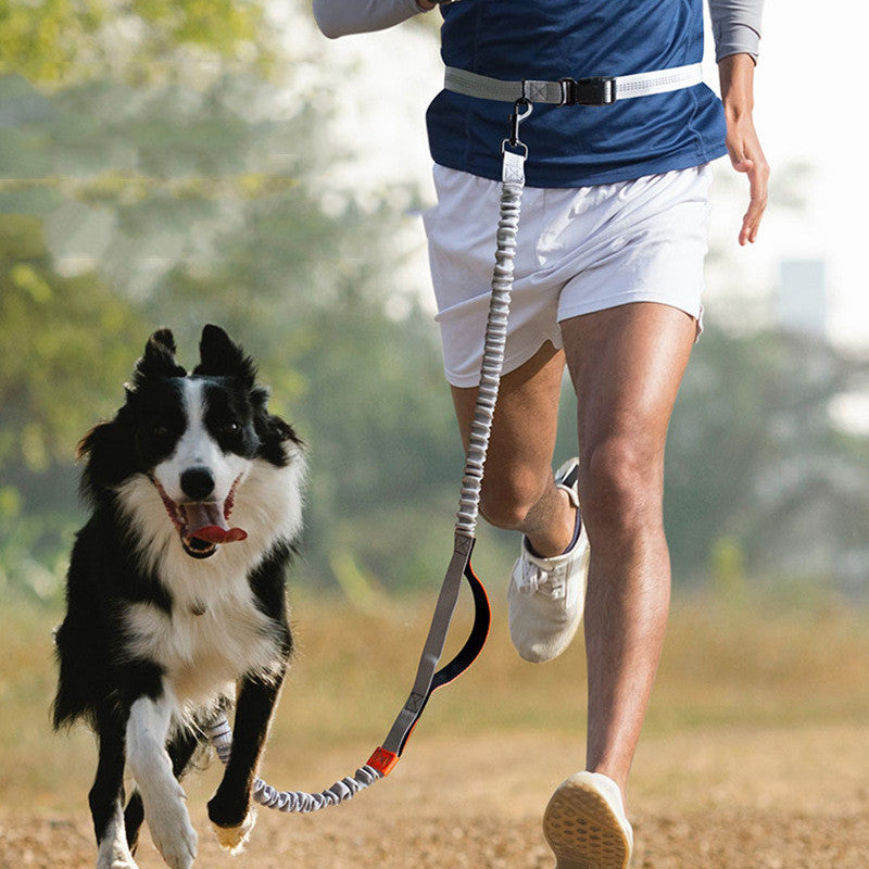 Outdoor Running Pet Leash For Training And Walking