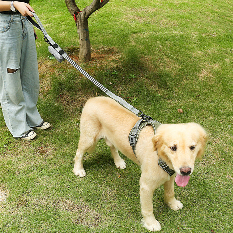 Fluorescent Retractable Pet Leash Explosion Proof Elastic Walking Lead